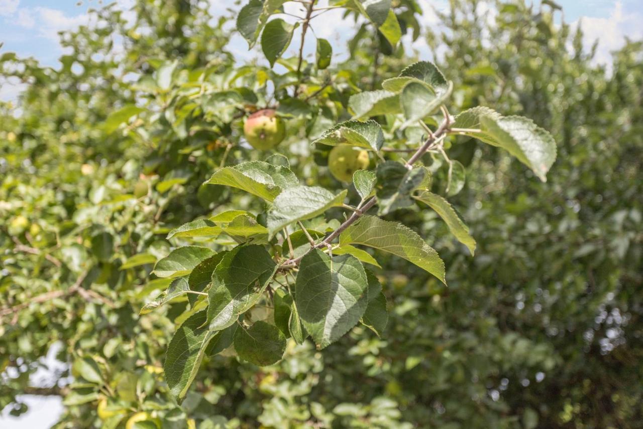 Ferienwohnung Oberrisstraum Schliersee Εξωτερικό φωτογραφία